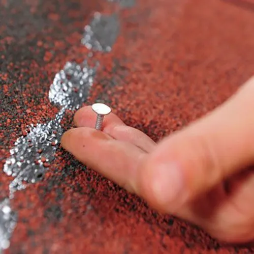 Galvanized Nails 5kg soft pack (25mm) кровельные гвозди