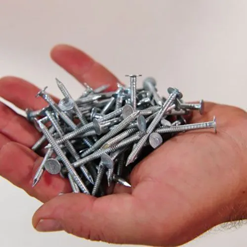 Galvanized Nails 5kg soft pack (25mm) кровельные гвозди