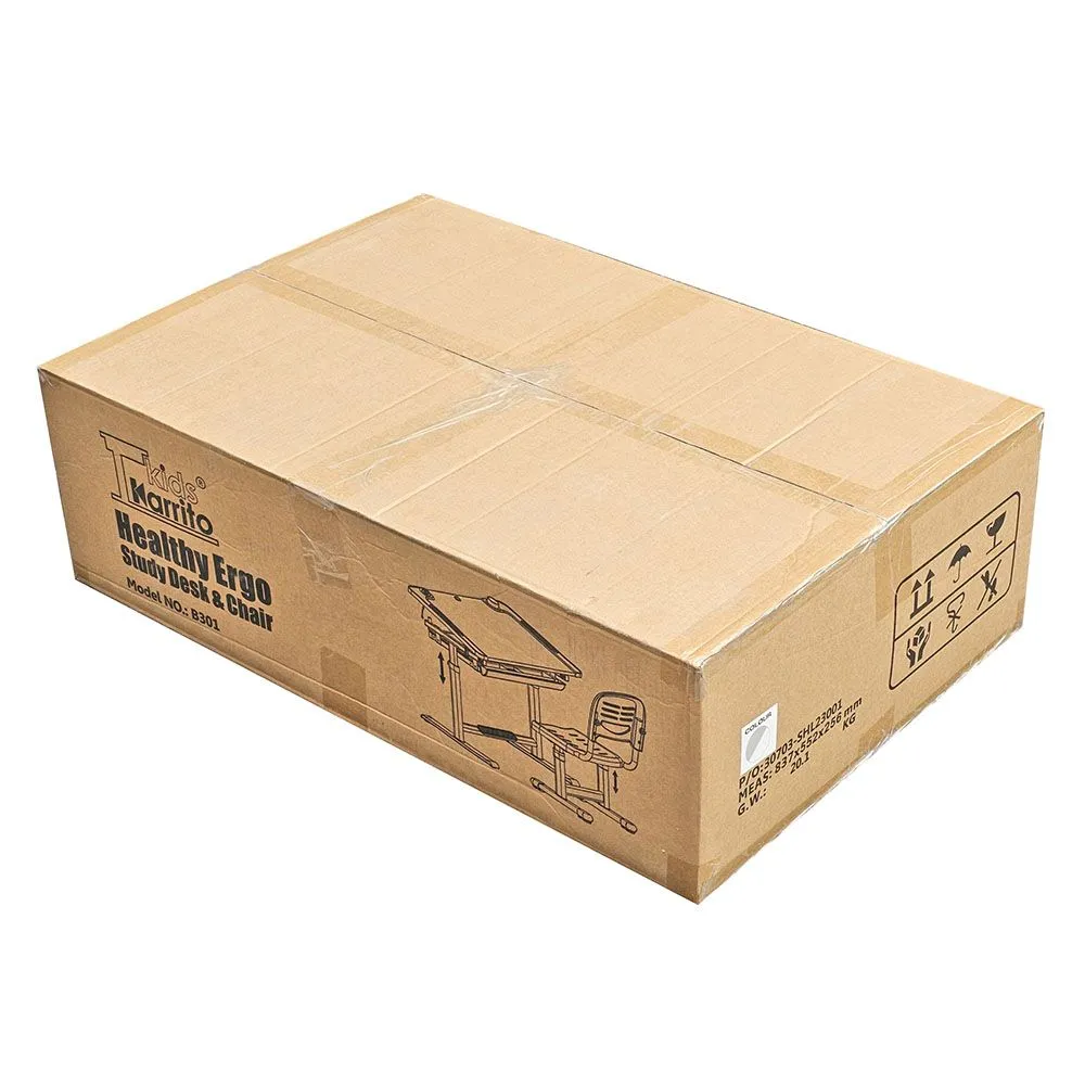 Детский стол учебный со стулом и подставкой для книги В-301 и лампой А 306