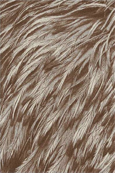 Ковер Matrix Terra 1895 1 16044 2,0 х3,0 Бежевый перья