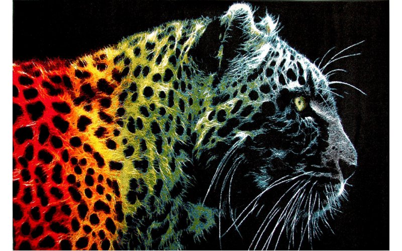 Ковёр Украина KOLIBRI FRIZE 11016/180 2,0 х 3,0 Леопард на чёрном фоне