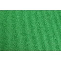 Выставочный ковролин  Sintra R   0643   ярко-зеленый  2м