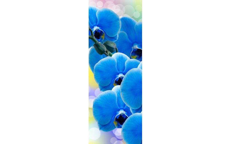 Фотообои DIVINO DECOR А2-007 &quot;Орхидея синяя&quot; 1,0 х 2,7 м